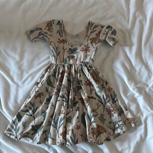 Alice + Ames 5T herbal Study Ballet Dress - Picture 4 of 4